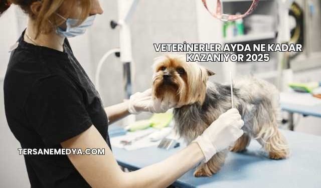 Veterinerler Ayda Ne Kadar Kazanıyor 2025