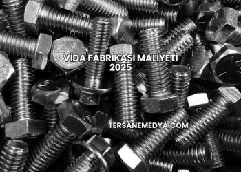 Vida Fabrikası Maliyeti 2025