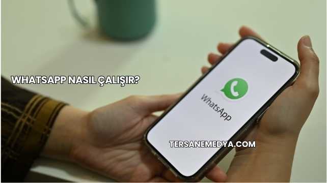 Whatsapp Nasıl Çalışır?