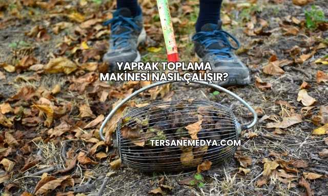 Yaprak Toplama Makinesi Nasıl Çalışır?
