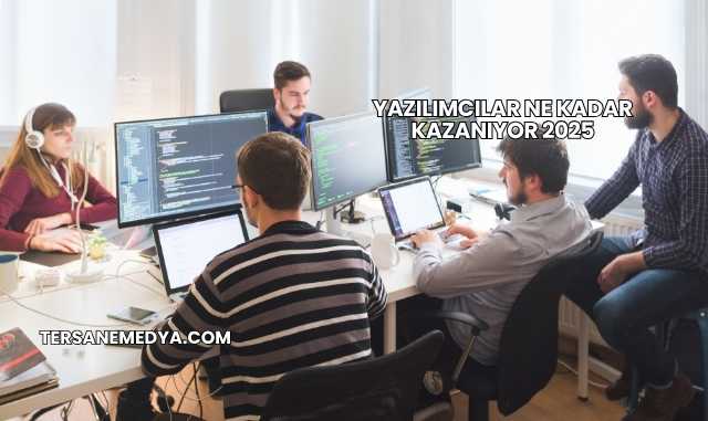 Yazılımcılar Ne Kadar Kazanıyor 2025