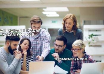 Yazılımcılar Ne Kadar Kazanıyor 2025