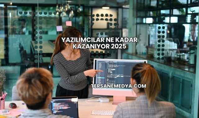 Yazılımcılar Ne Kadar Kazanıyor 2025