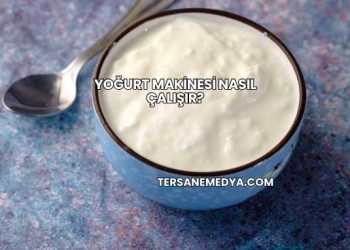 Yoğurt Makinesi Nasıl Çalışır?