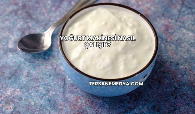 Yoğurt Makinesi Nasıl Çalışır?
