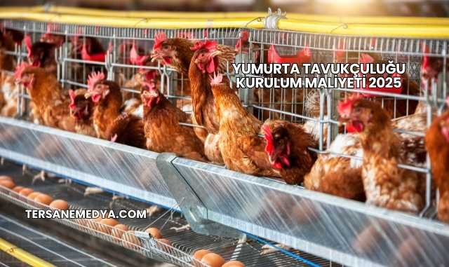 Yumurta Tavukçuluğu Kurulum Maliyeti 2025
