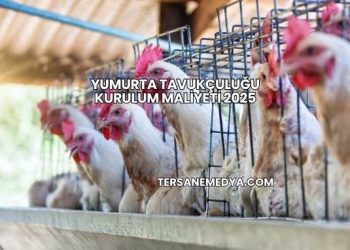 Yumurta Tavukçuluğu Kurulum Maliyeti 2025