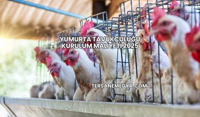 Yumurta Tavukçuluğu Kurulum Maliyeti 2025