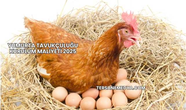 Yumurta Tavukçuluğu Kurulum Maliyeti 2025