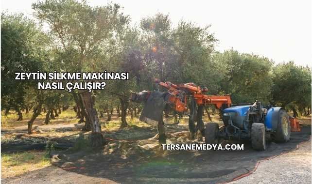 Zeytin Silkme Makinası Nasıl Çalışır?