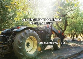 Zeytin Silkme Makinası Nasıl Çalışır?