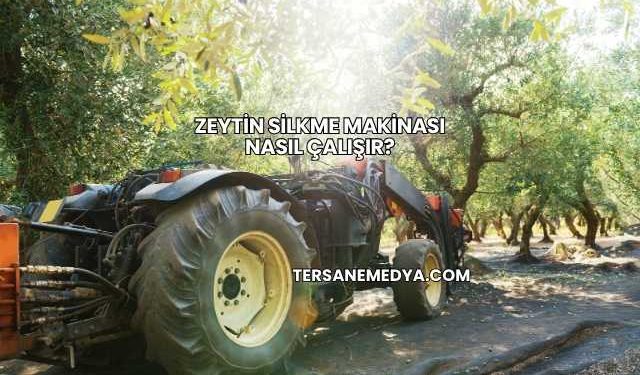 Zeytin Silkme Makinası Nasıl Çalışır?