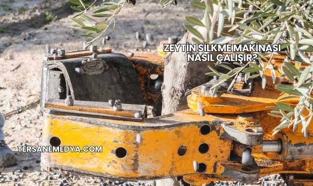 Zeytin Silkme Makinası Nasıl Çalışır?