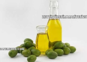 Zeytin Üretim Maliyeti 2025