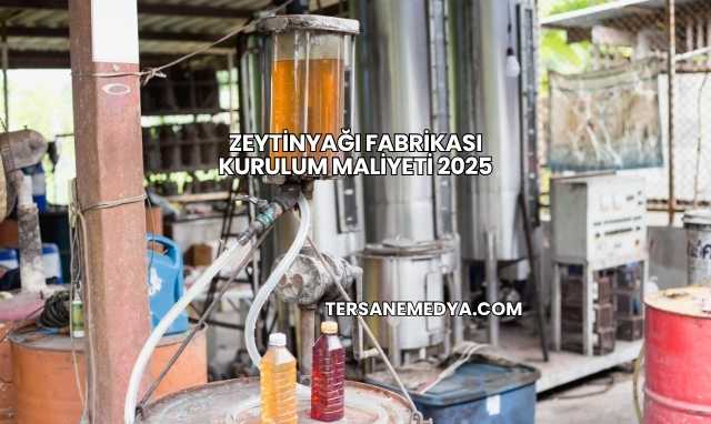 Zeytinyağı Fabrikası Kurulum Maliyeti 2025