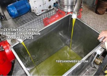 Zeytinyağı Sıkma Fabrikası Kurmanın Maliyeti 2025