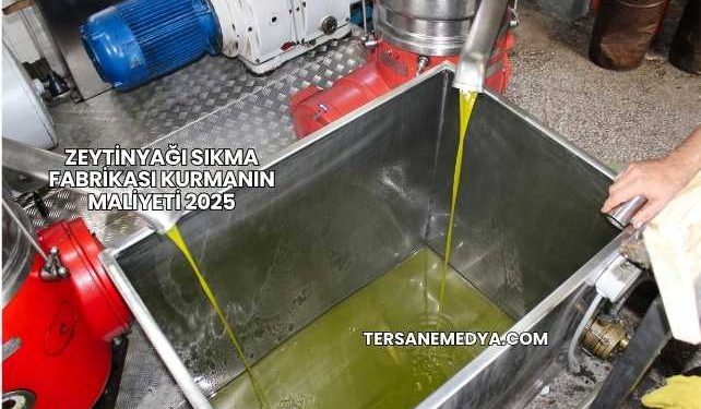 Zeytinyağı Sıkma Fabrikası Kurmanın Maliyeti 2025