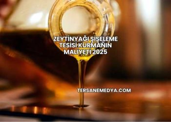 Zeytinyağı Şişeleme Tesisi Kurmanın Maliyeti 2025