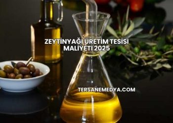 Zeytinyağı Üretim Tesisi Maliyeti 2025