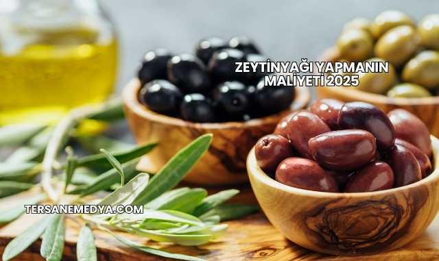 Zeytinyağı Yapmanın Maliyeti 2025