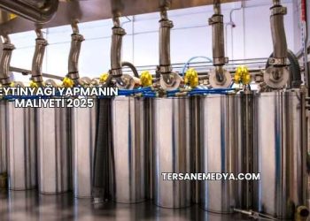 Zeytinyağı Yapmanın Maliyeti 2025