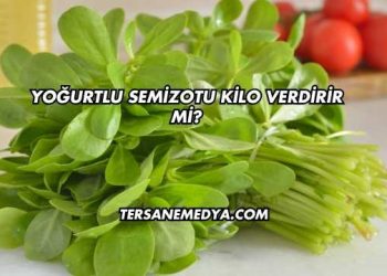 Yoğurtlu Semizotu Kilo Verdirir mi?