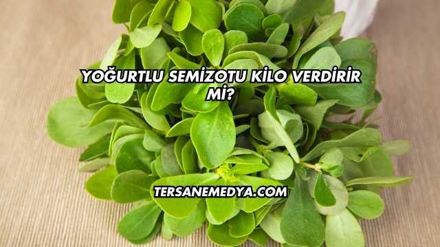 Yoğurtlu Semizotu Kilo Verdirir mi?