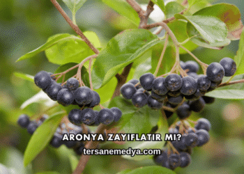 Aronya Zayıflatır mı?