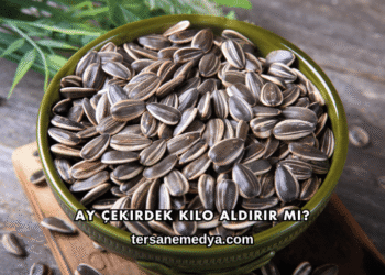 Ay Çekirdek Kilo Aldırır mı?