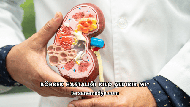 Böbrek Hastalığı Kilo Aldırır mı?