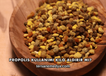 Propolis Kullanımı Kilo Aldırır mı?