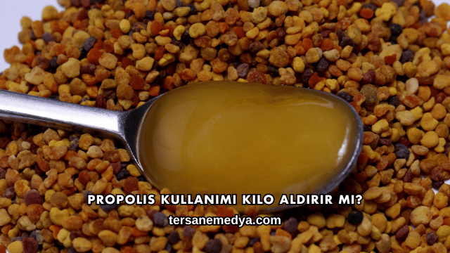 Propolis Kullanımı Kilo Aldırır mı?