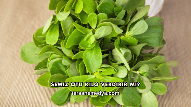 Semiz Otu Kilo Verdirir mi?